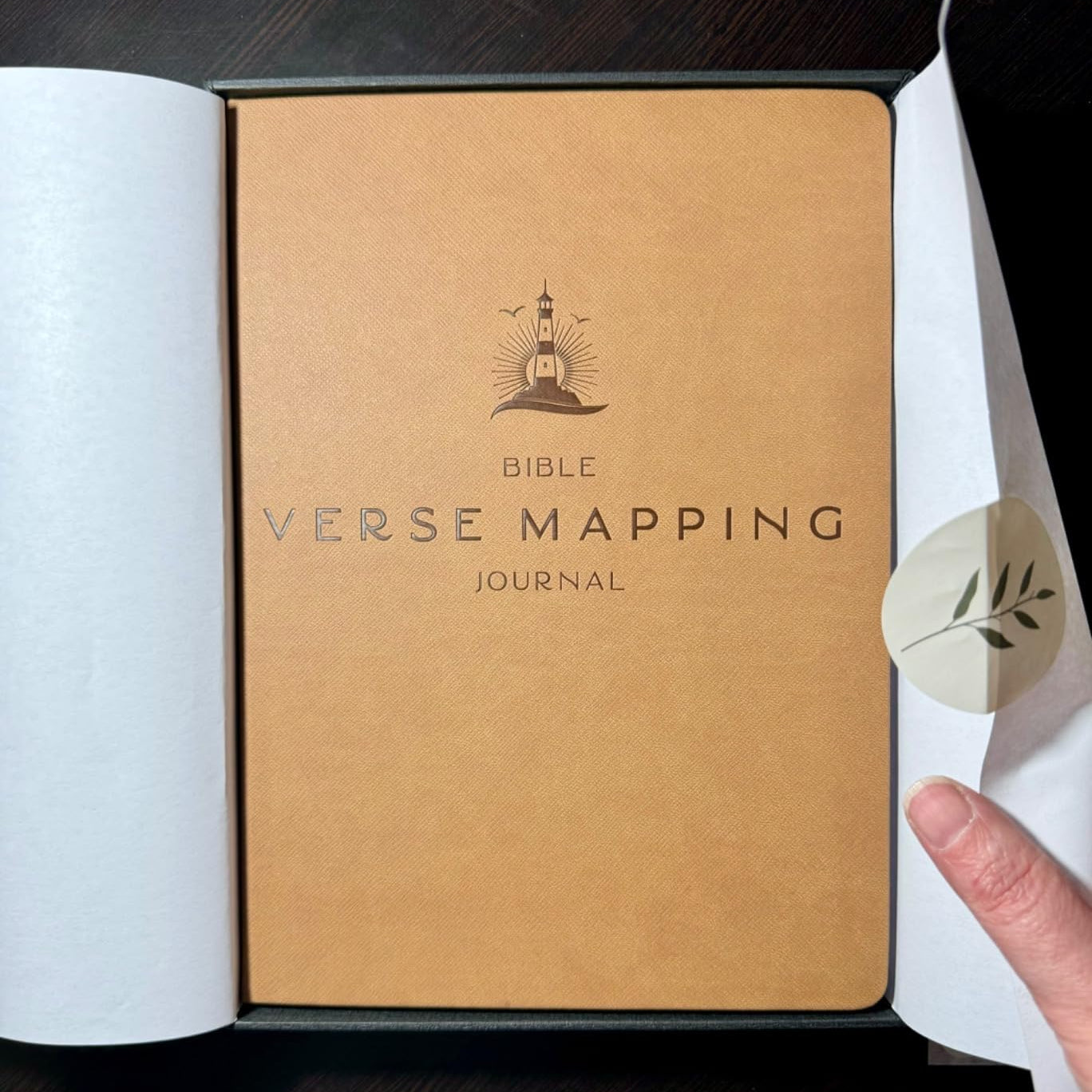 Bible Verse Mapping Journal